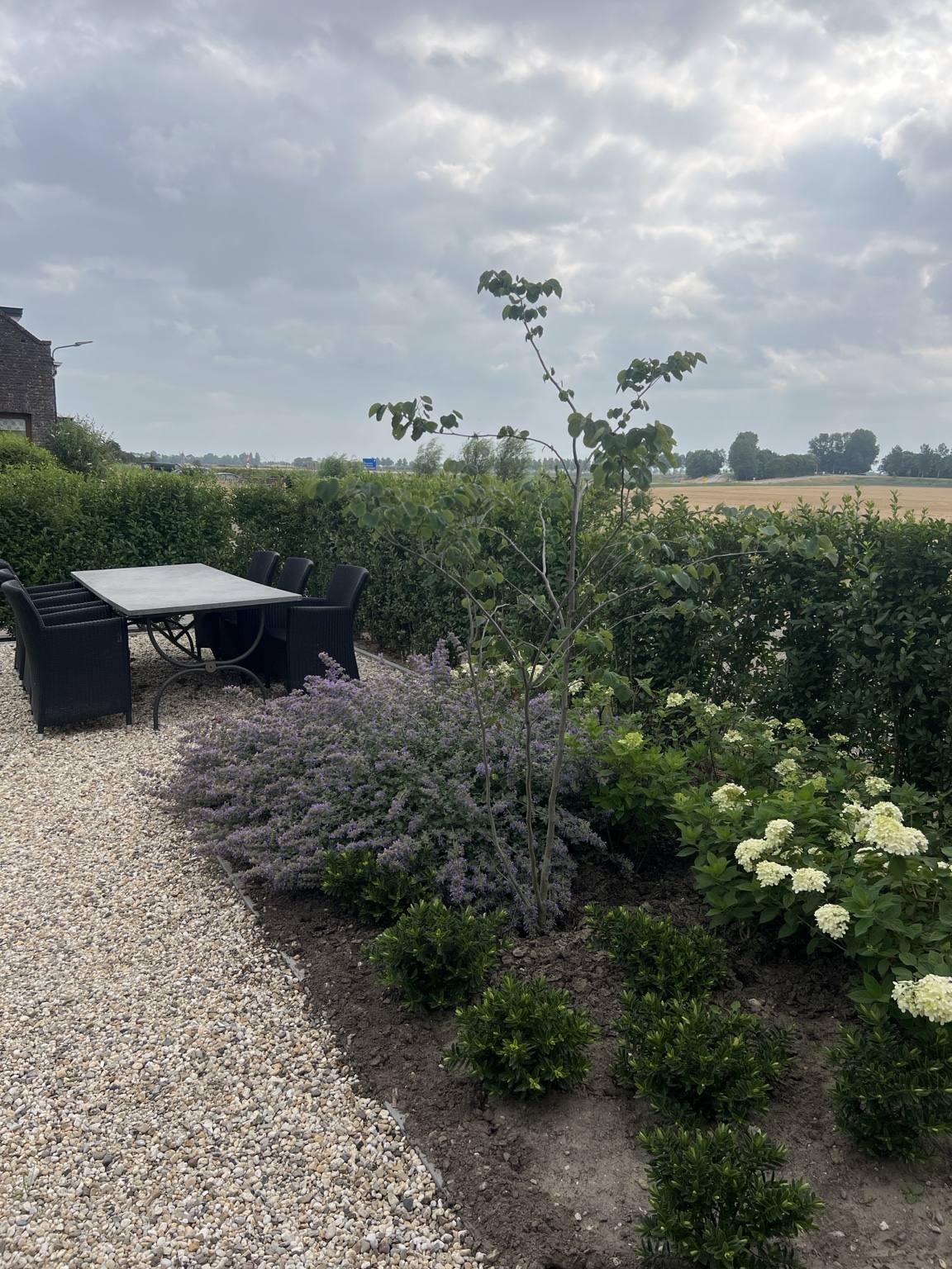Tuin van By Moos